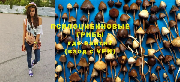 а пвп мука Арсеньев