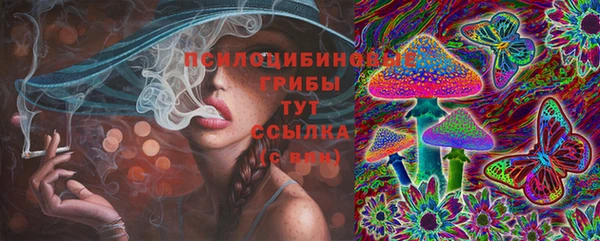2c-b Аркадак